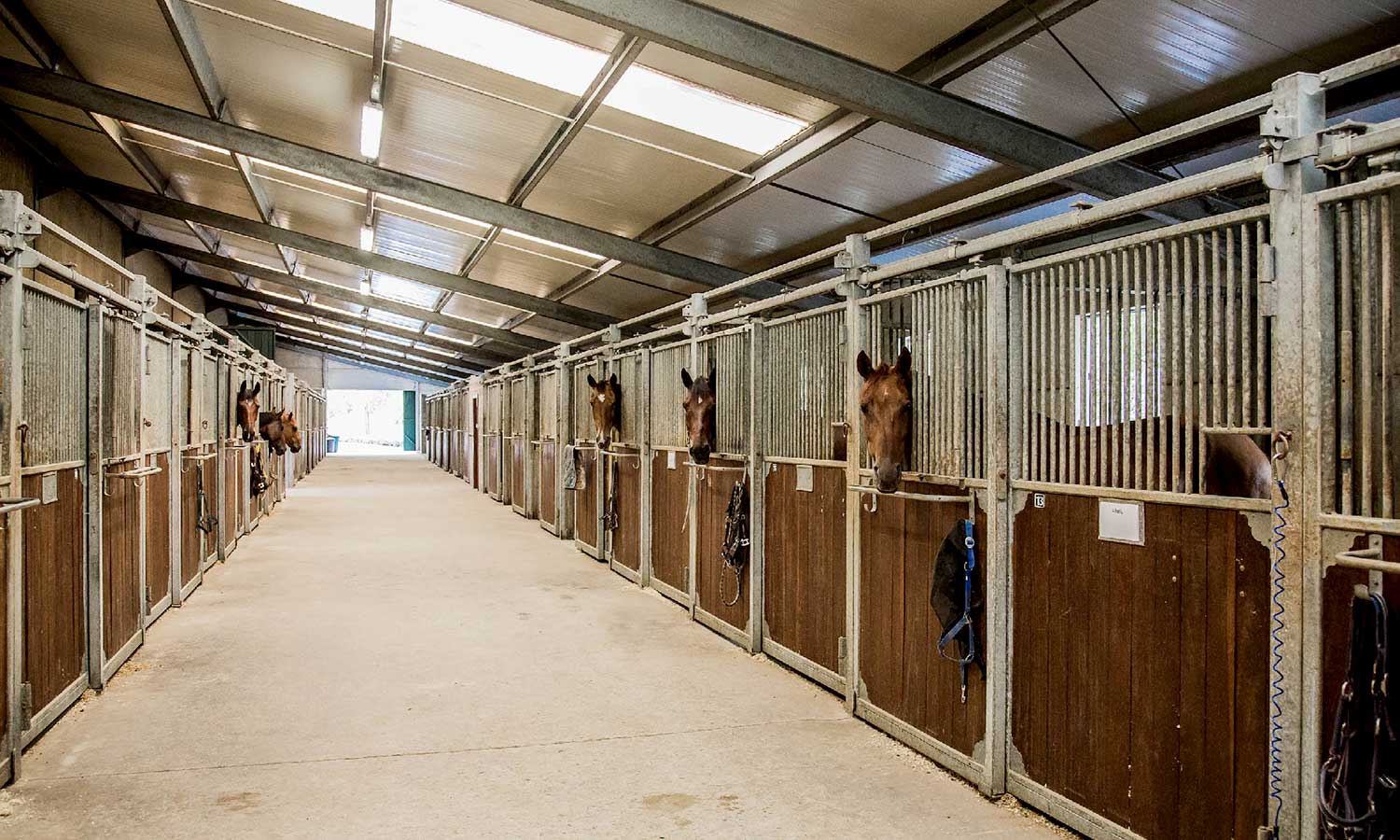 installations-ecuries