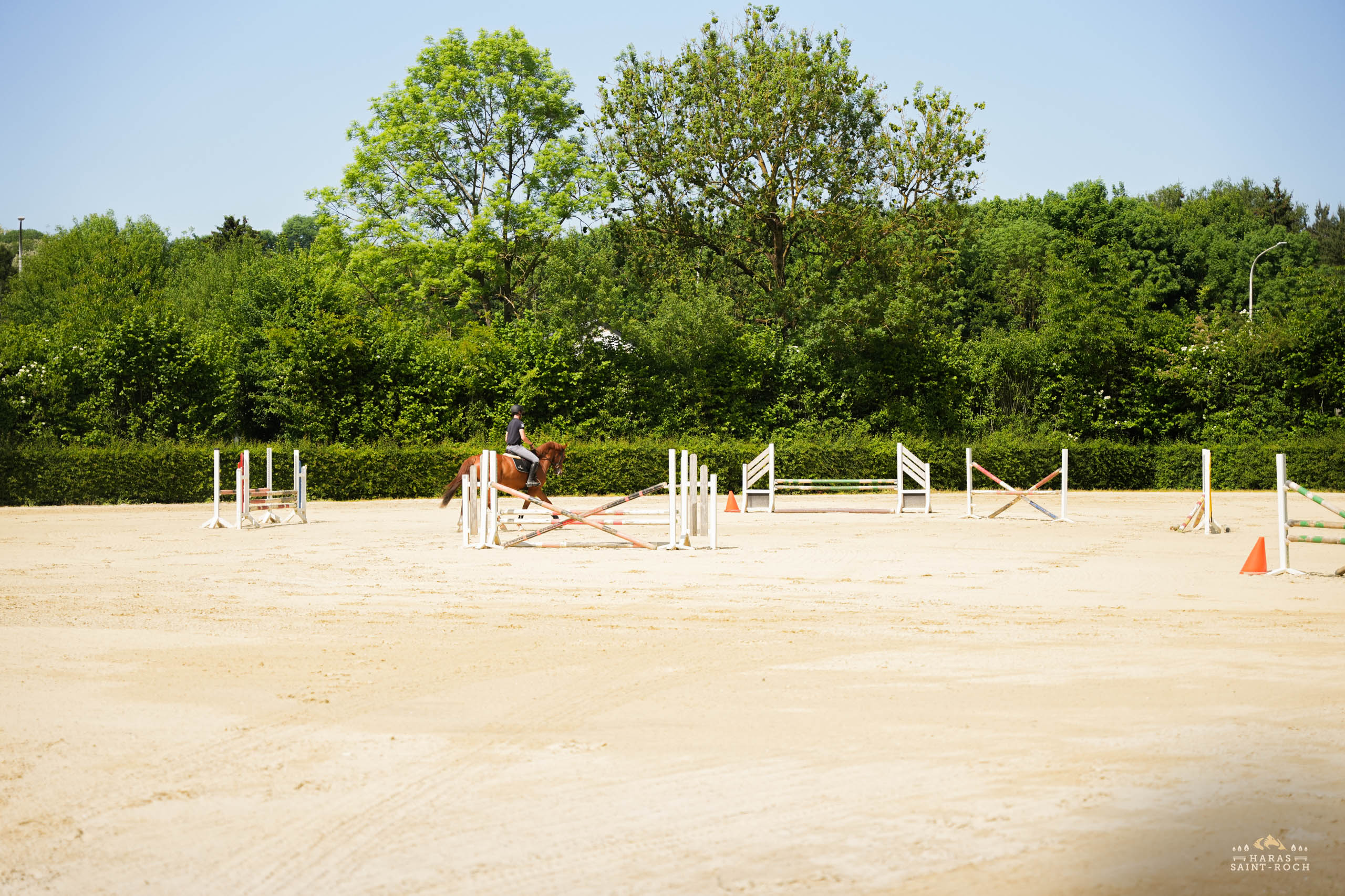 HarasSaintRoch-centre-equestre-2025-084