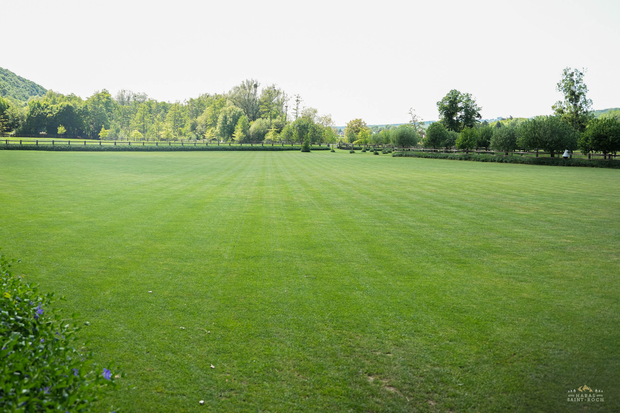 HarasSaintRoch-centre-equestre-2025-154