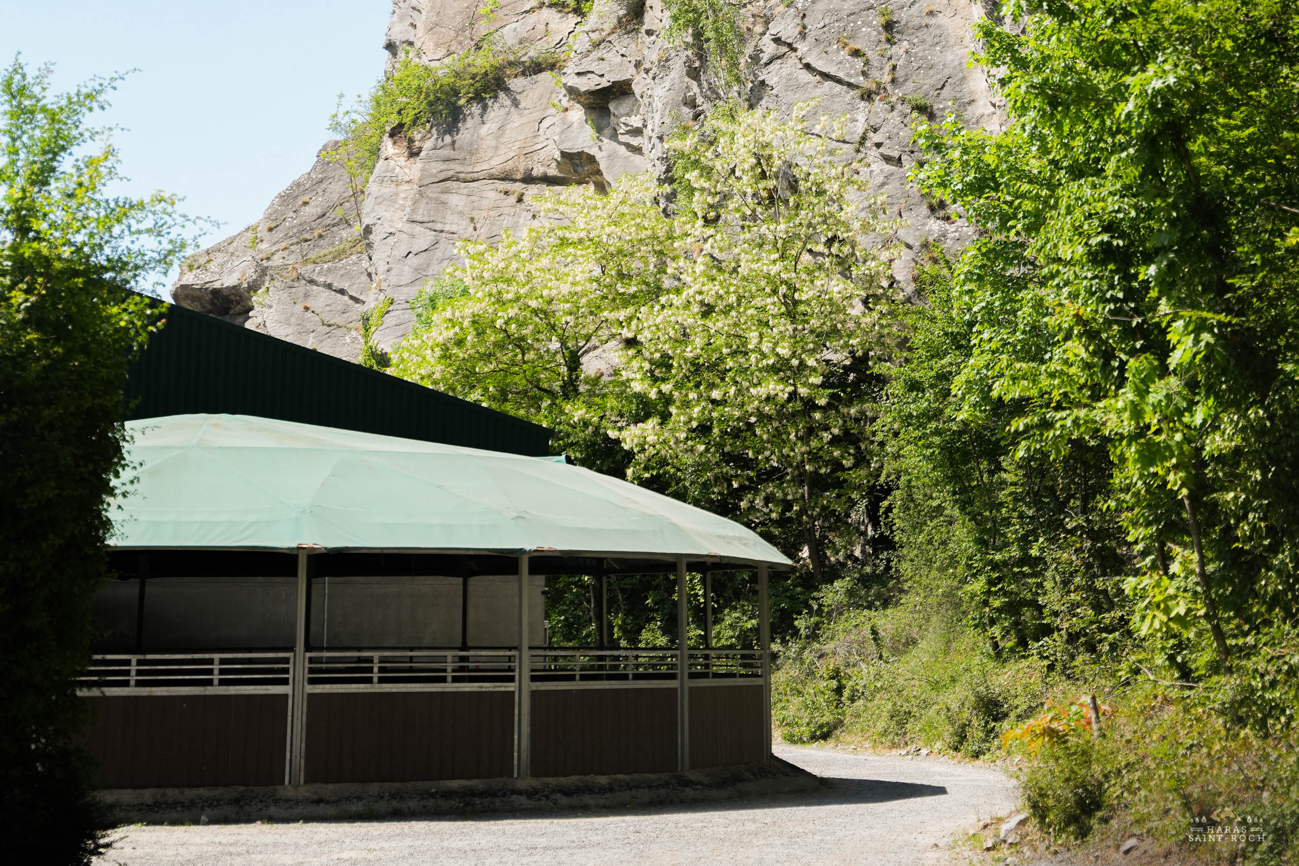 HarasSaintRoch-centre-equestre-2025-155