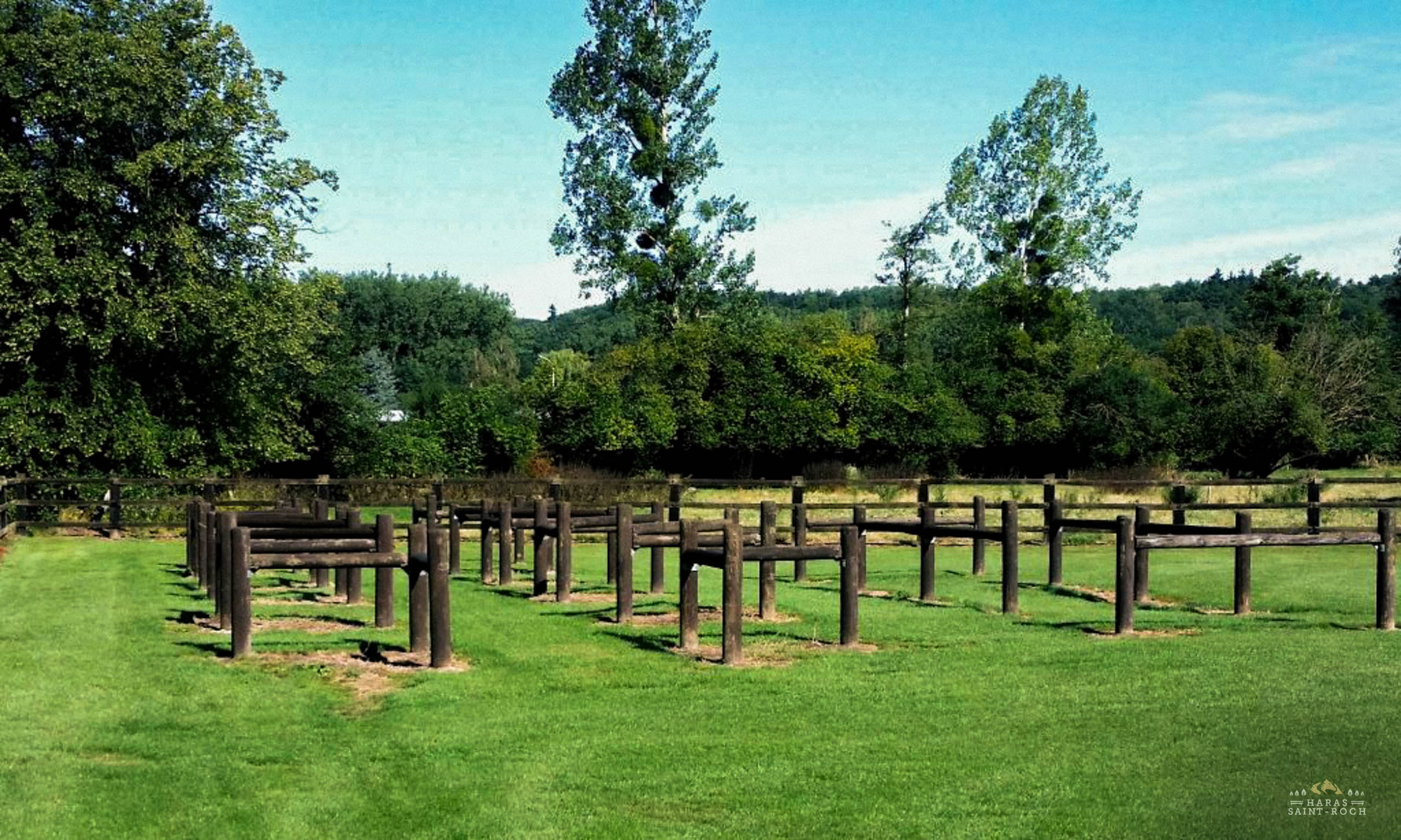 HarasSaintRoch-centre-equestre-2025-159