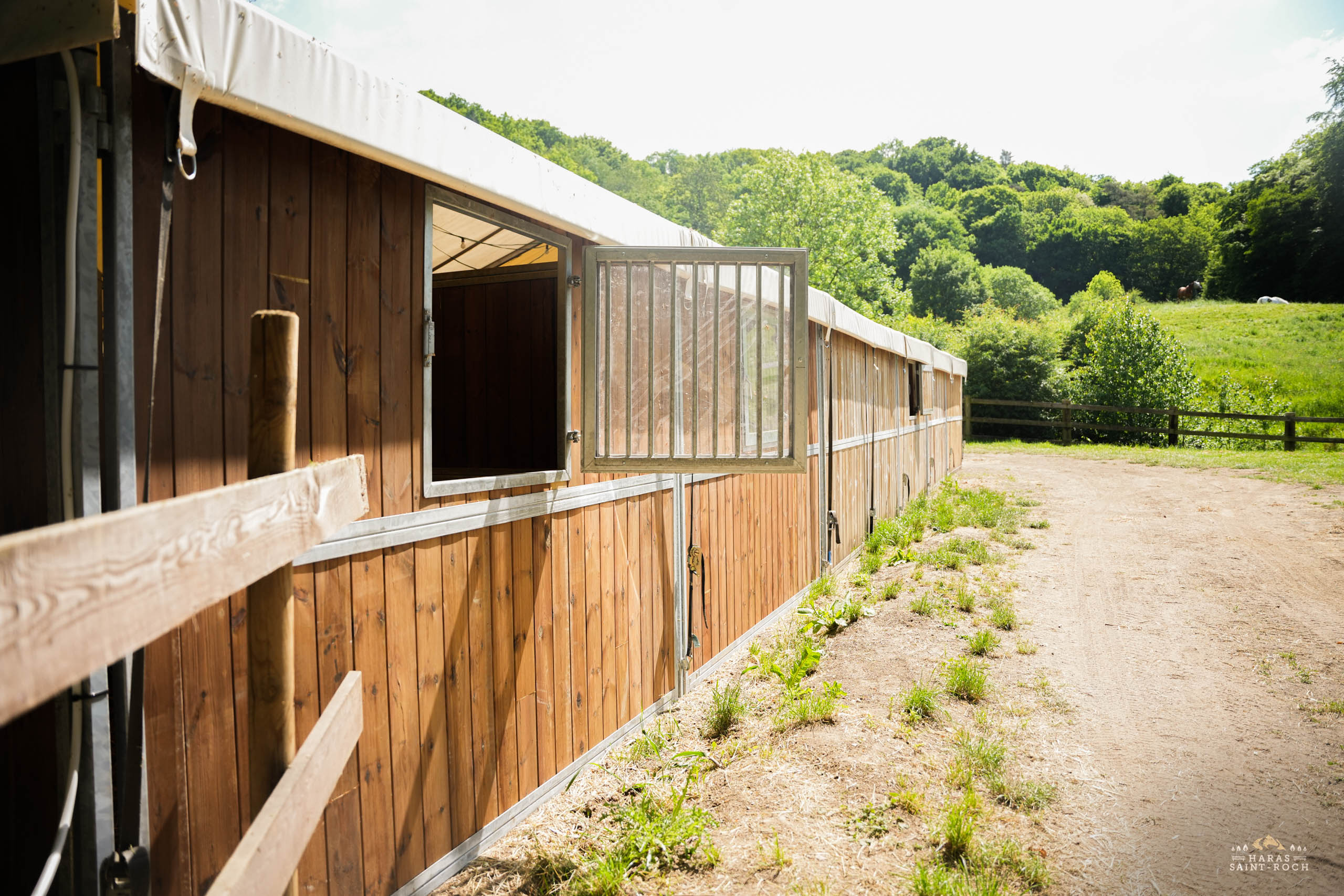 HarasSaintRoch-centre-equestre-2025-070