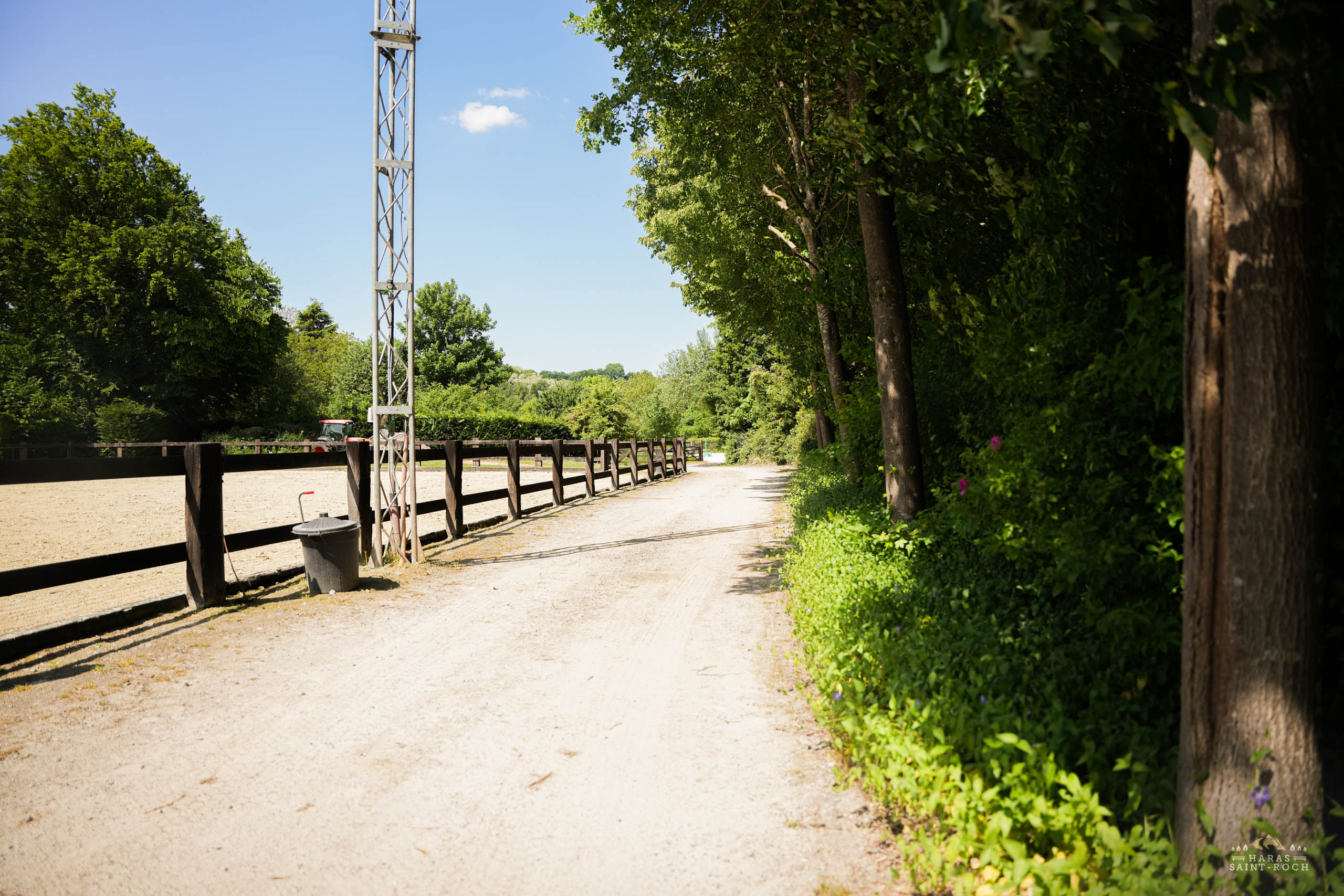 HarasSaintRoch-centre-equestre-2025-079