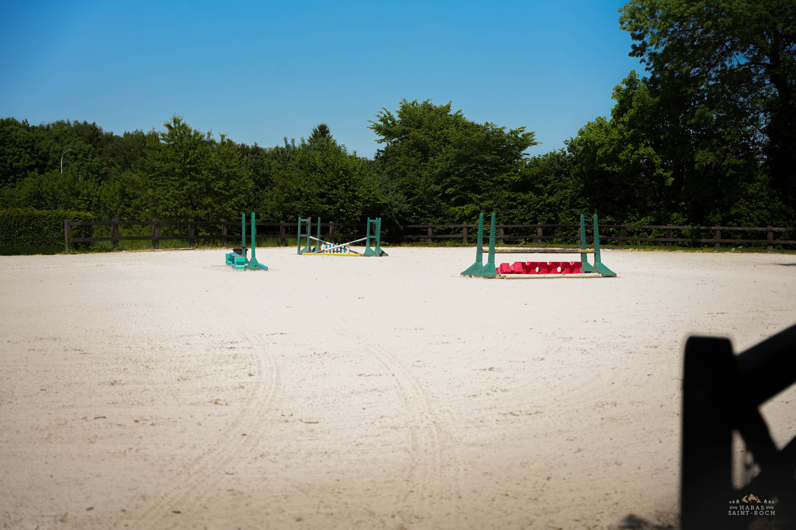 HarasSaintRoch-centre-equestre-2025-081