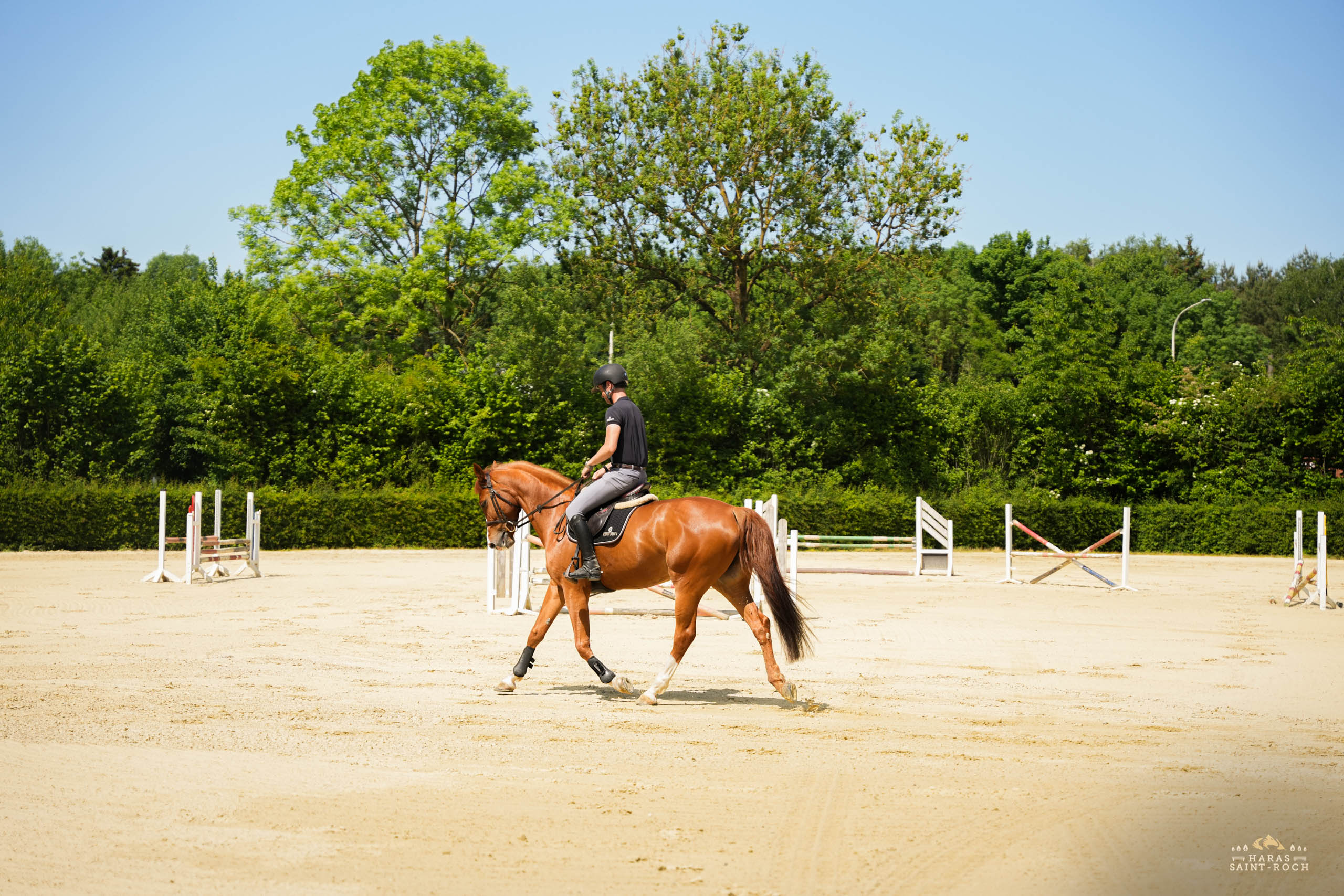HarasSaintRoch-centre-equestre-2025-087