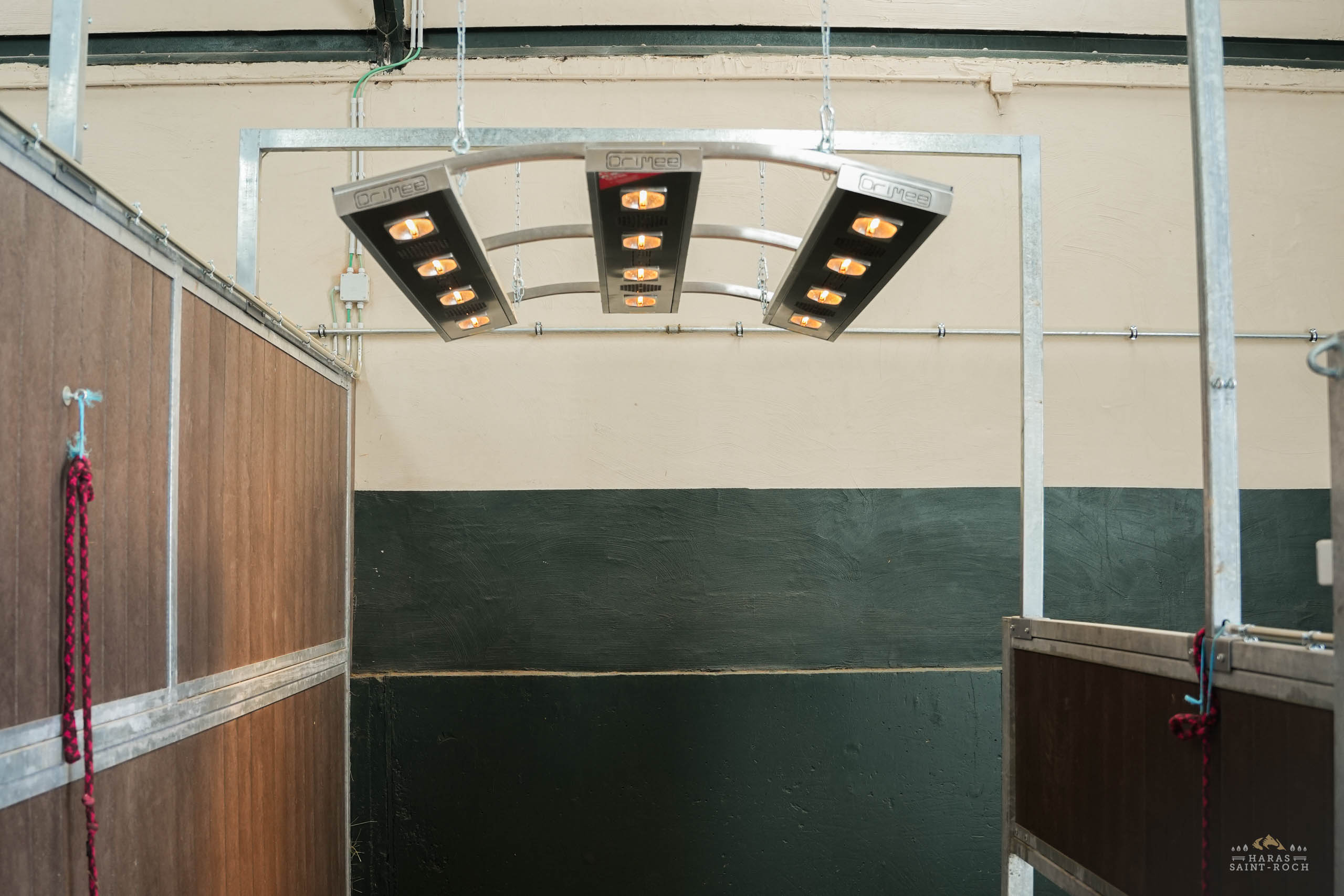 HarasSaintRoch-centre-equestre-2025-157